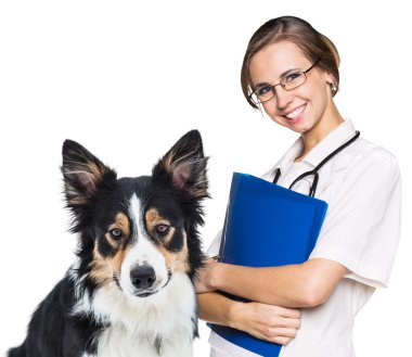 güzel bir köpek ile kadın veteriner