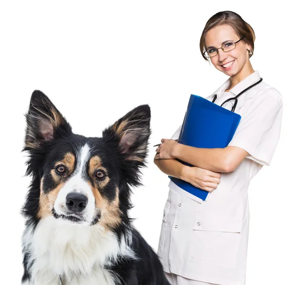 Nainen eläinlääkäri kaunis koira — kuvapankkivalokuva