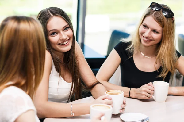 Happy women Stock Image