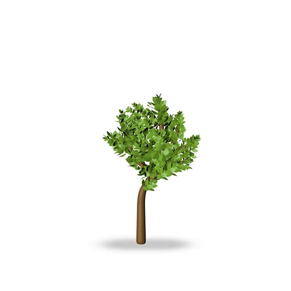 Tree 3d render — Stock Photo, Image