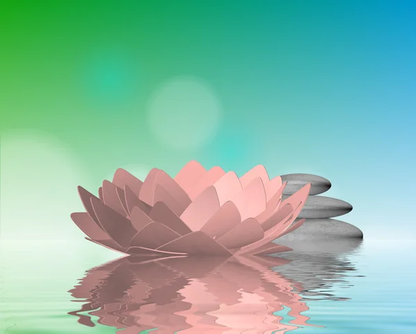 Lotus and stones on the water — Stock Photo, Image