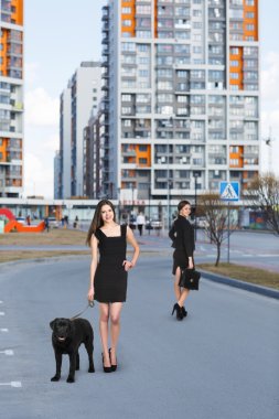 Güzel mutlu kadın ile köpek