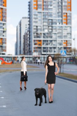 Güzel mutlu kadın ile köpek