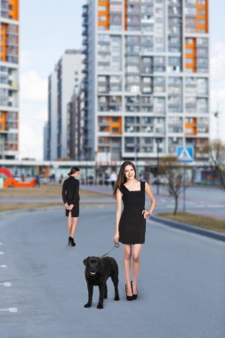 Güzel mutlu kadın ile köpek