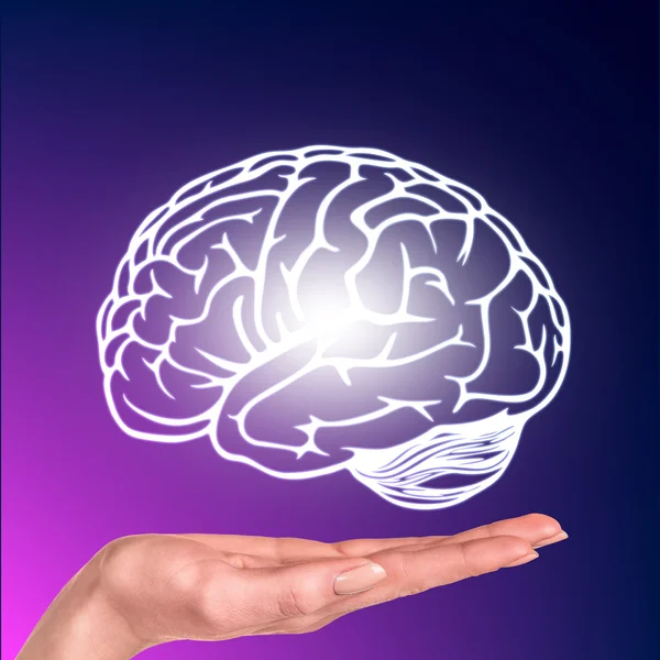 Рисунок мозга завис над человеческой рукой — стоковое фото