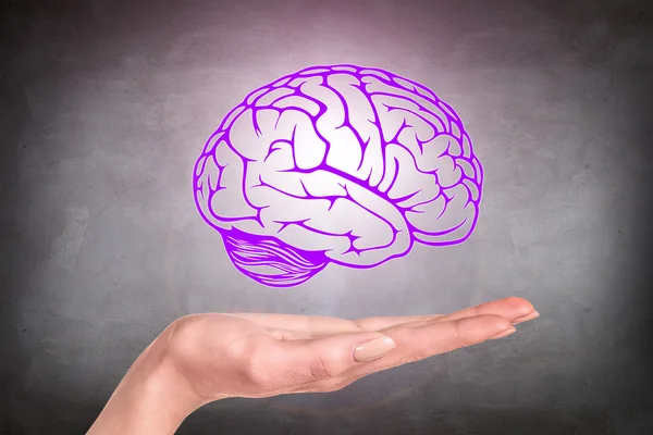 Рисунок мозга завис над человеческой рукой — стоковое фото