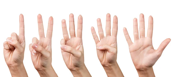 女性の手を 1 ~ 5 本の指で示しています — ストック写真