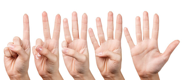 Woman hand shows with fingers from one to five