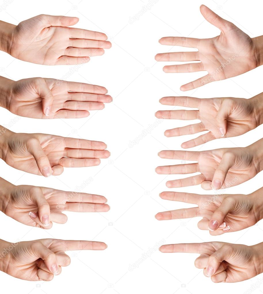 Woman hand shows with fingers from one to five