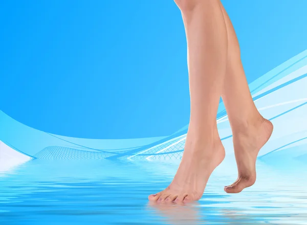 Perfect female legs — Stock Image Perfect female legs Royalty Free Stock Images