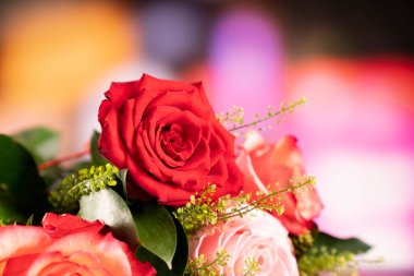 Bokeh arka planında bir demet gül. Sevgililer Günü hediyesi. 