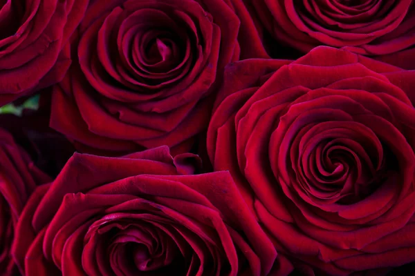 Букет Троянд Фоні Боке Жіночий День Подарунок — стокове фото