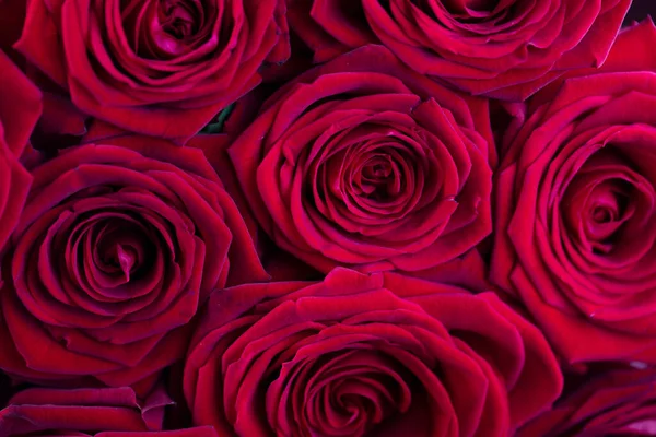 Букет Троянд Фоні Боке Жіночий День Подарунок — стокове фото