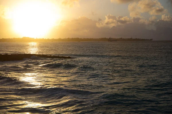 Sommar Barbados Island Exotiska Semestrar Palmer Turkost Vatten Solig Blå — Stockfoto