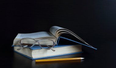  bilgi olamaz aldım, onları bir kitapta okumuştum insanoğlunun bilgeliği