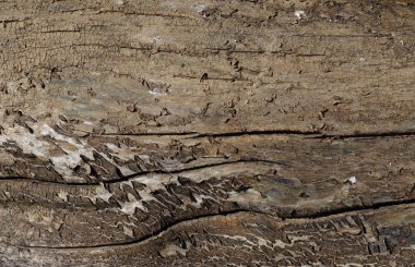 eski bazen çok güzel görünüyor