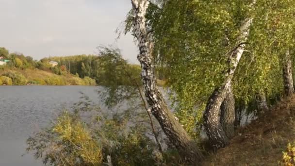 Чистота природи на озері — стокове відео