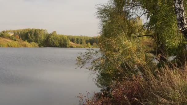 Doğa göl üzerinde saflık — Stok video