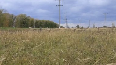 sonbahar doğada cazibesi