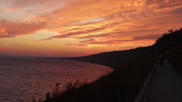 La belleza de la puesta de sol, el viento y el espacio abierto — Vídeo de stock