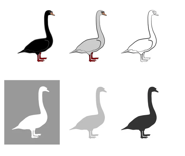 ガチョウの白と黒 - 国内の鳥. — ストックベクタ