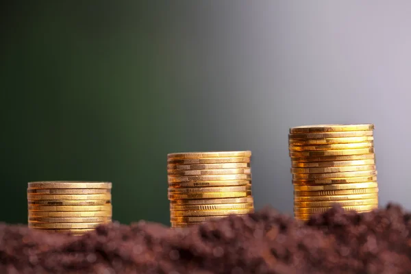 Money growth. Euro coins growing from soil. Money growth concept — Stock Photo, Image