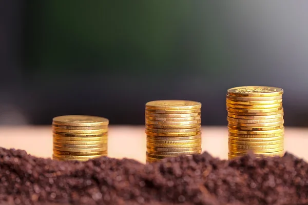 Money growth. Euro coins growing from soil. Money growth concept — Stock Photo, Image