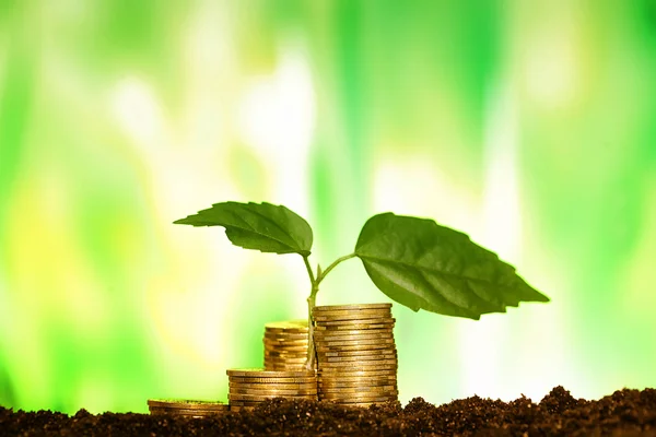 Green seedling growing from coins in the soil. The concept of mo — Stock Photo, Image