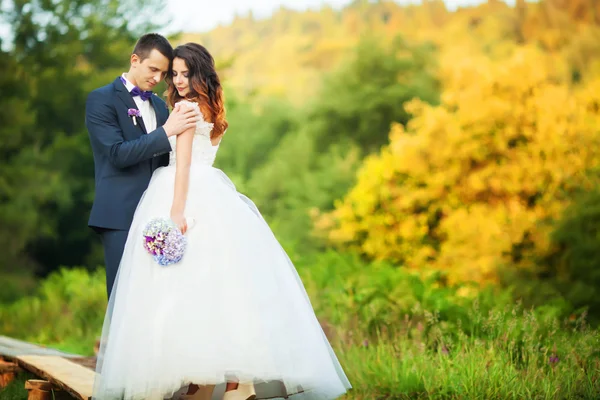 Κομψό νύφη και ο γαμπρός μαζί θέτουν σε εξωτερικούς χώρους σε ένα γάμο da — Φωτογραφία Αρχείου