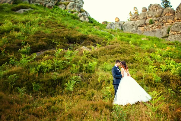 Eleganta brudparet poserar tillsammans utomhus på ett bröllop da — Stockfoto