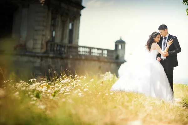 Retrato de una joven pareja de boda — Foto de Stock