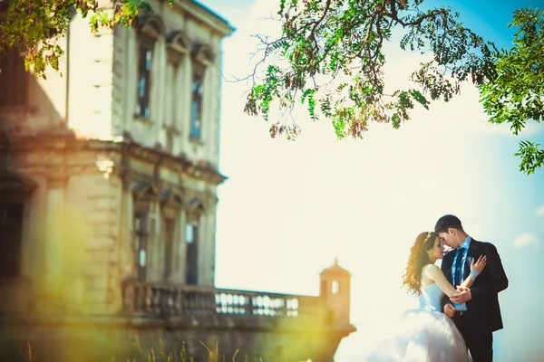Luxusní Svatební pár objímat a usmívá se vzájemně na zadní straně — Stock fotografie