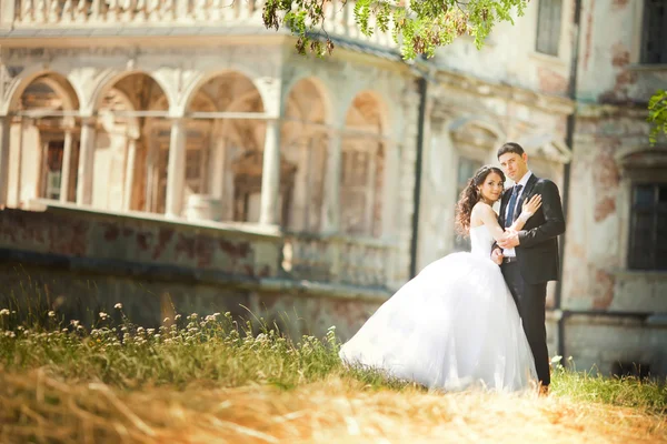 Pareja de boda de lujo abrazándose y sonriendo en la espalda — Foto de Stock