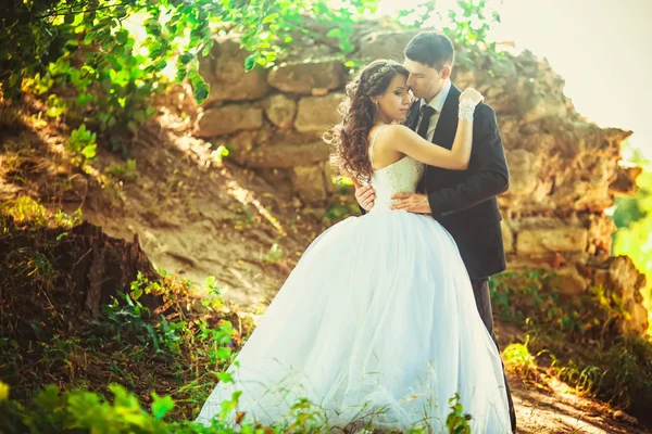Lyxiga bröllop par kramas och leende varandra på baksidan — Stockfoto