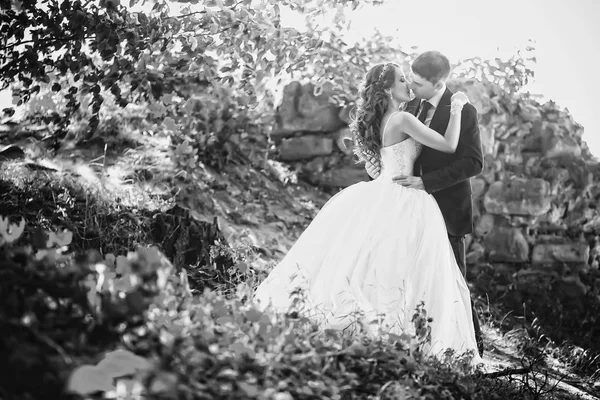Lyxiga bröllop par kramas och leende varandra på baksidan — Stockfoto