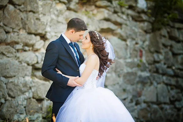 Dois casais após o casamento no parque tne perto do castelo — Fotografia de Stock