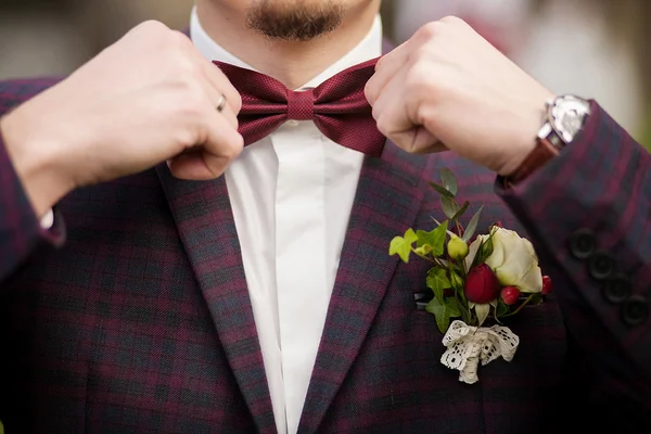 Man the groom in a wedding costume with butterfly. Hands, care, — Stock Photo, Image