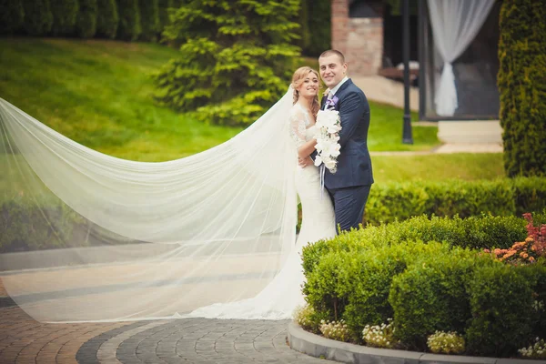 Bruden och brudgummen på bröllop dag promenader utomhus på vår natur — Stockfoto