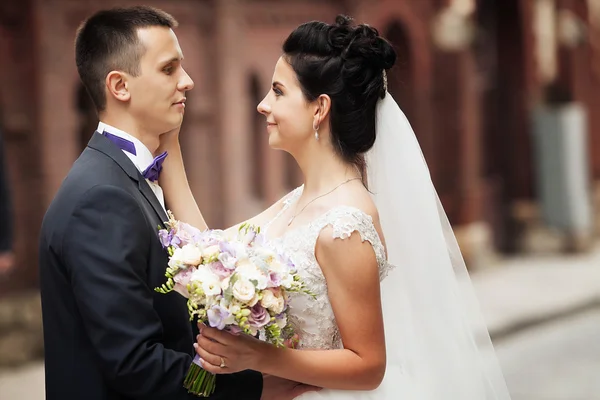 Прекрасные невеста и жених обнимаются и целуются на своей свадьбе — стоковое фото