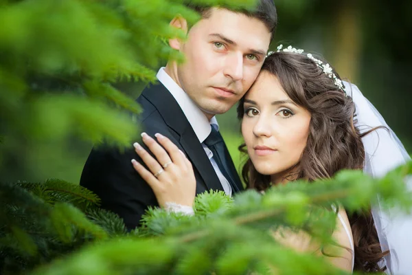 Noiva e noivo no dia do casamento andando ao ar livre na natureza primavera — Fotografia de Stock