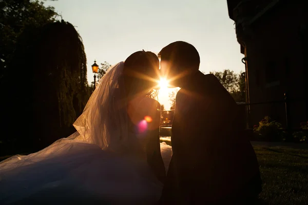 Silhouette coppia baci su sfondo tramonto — Foto Stock