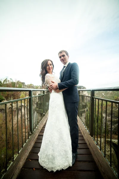 結婚式のカップルが山の背景にポーズします。花嫁を振って髪 — ストック写真
