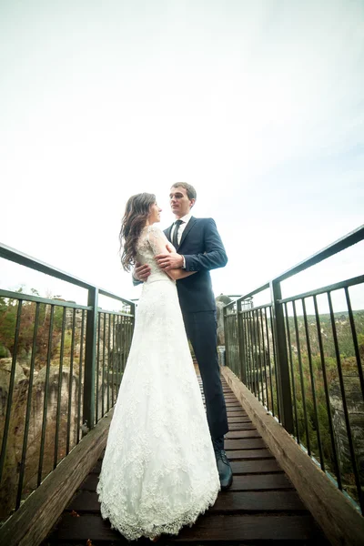 Beau couple de mariage dans les montagnes — Photo