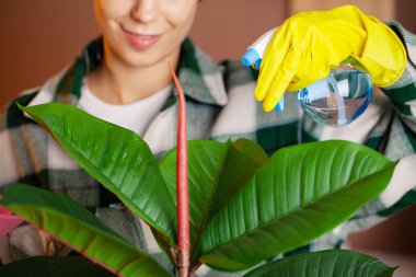 Temizlik şirketi çalışanı bir bitkiyle ilgileniyor.