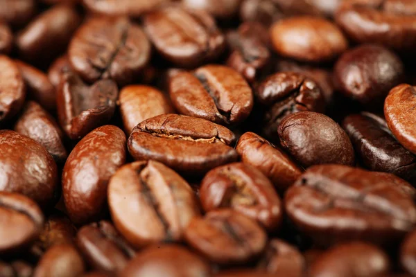 Closeup de grãos de café com foco em um — Fotografia de Stock