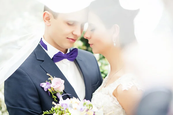 Portrét ženich a nevěsta. se závojem — Stock fotografie