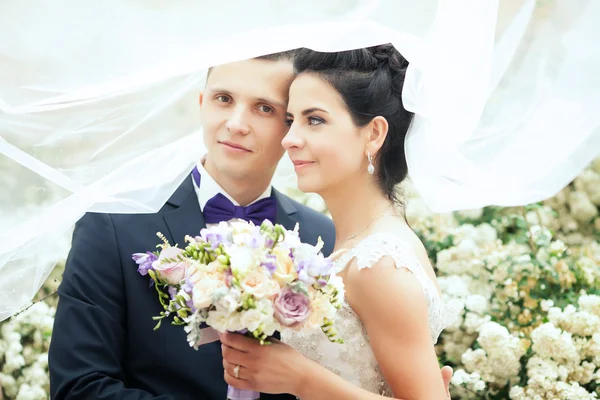 Bruden och brudgummen täckt med slöja närbild — Stockfoto