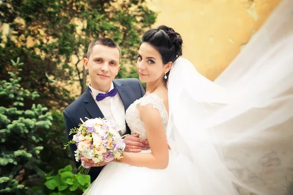 Newly married couple kissing.wind lifting long white bridal veil — Stock Photo, Image