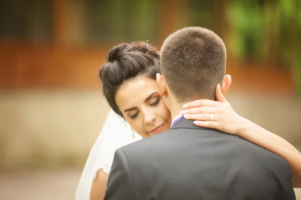 Ricco sposo e sposa abbracciare all'aperto sfondo parete erba caldo — Foto Stock