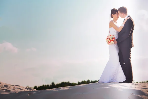 An image of wedding session on the beach — Stock Photo, Image